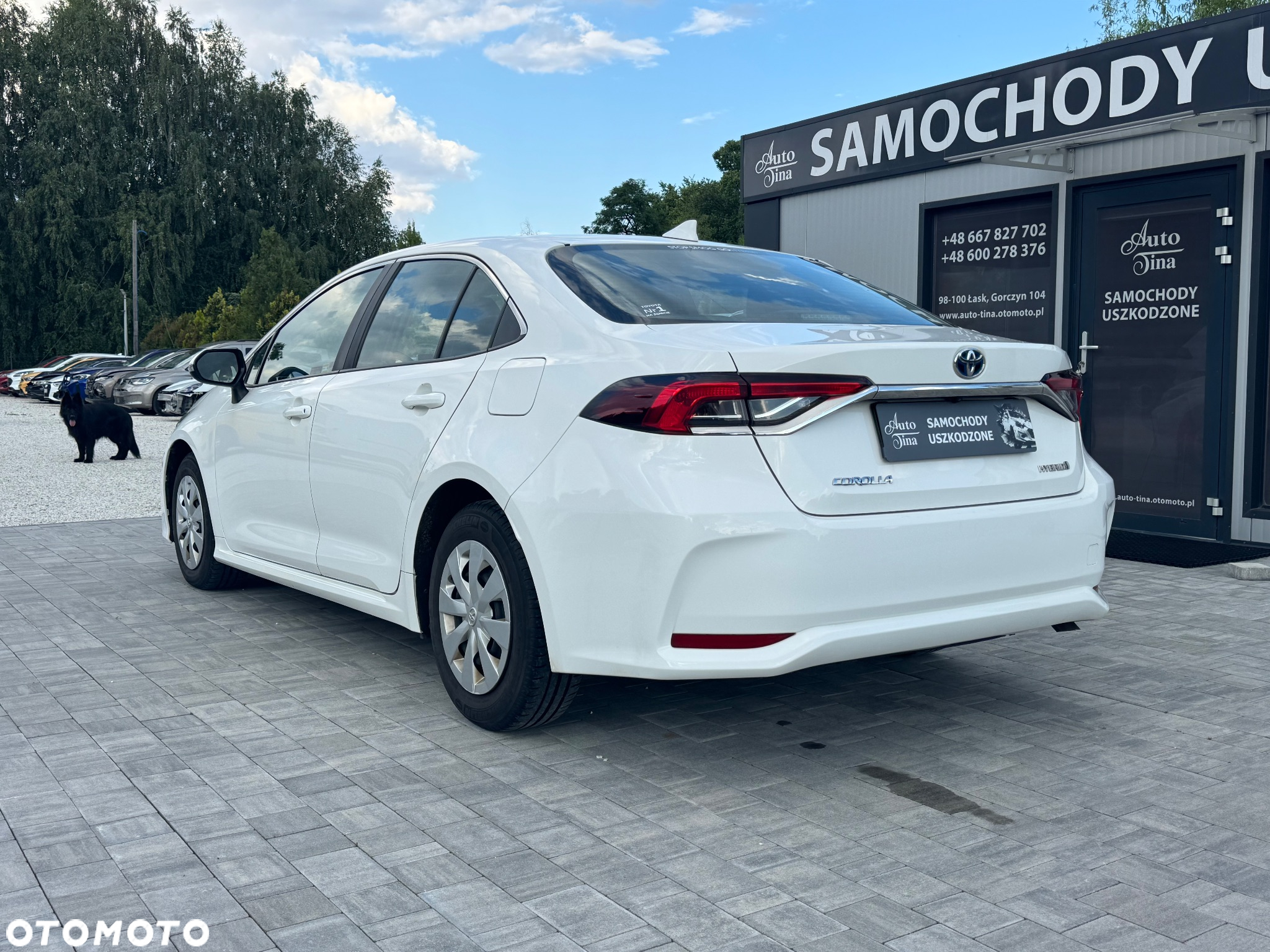 Toyota Corolla 1.8 Hybrid Active - 6