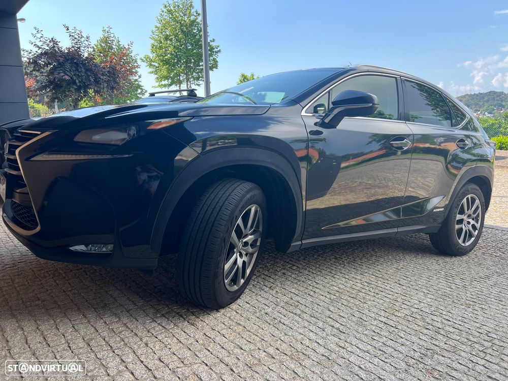 Lexus NX 300h Executive - 5