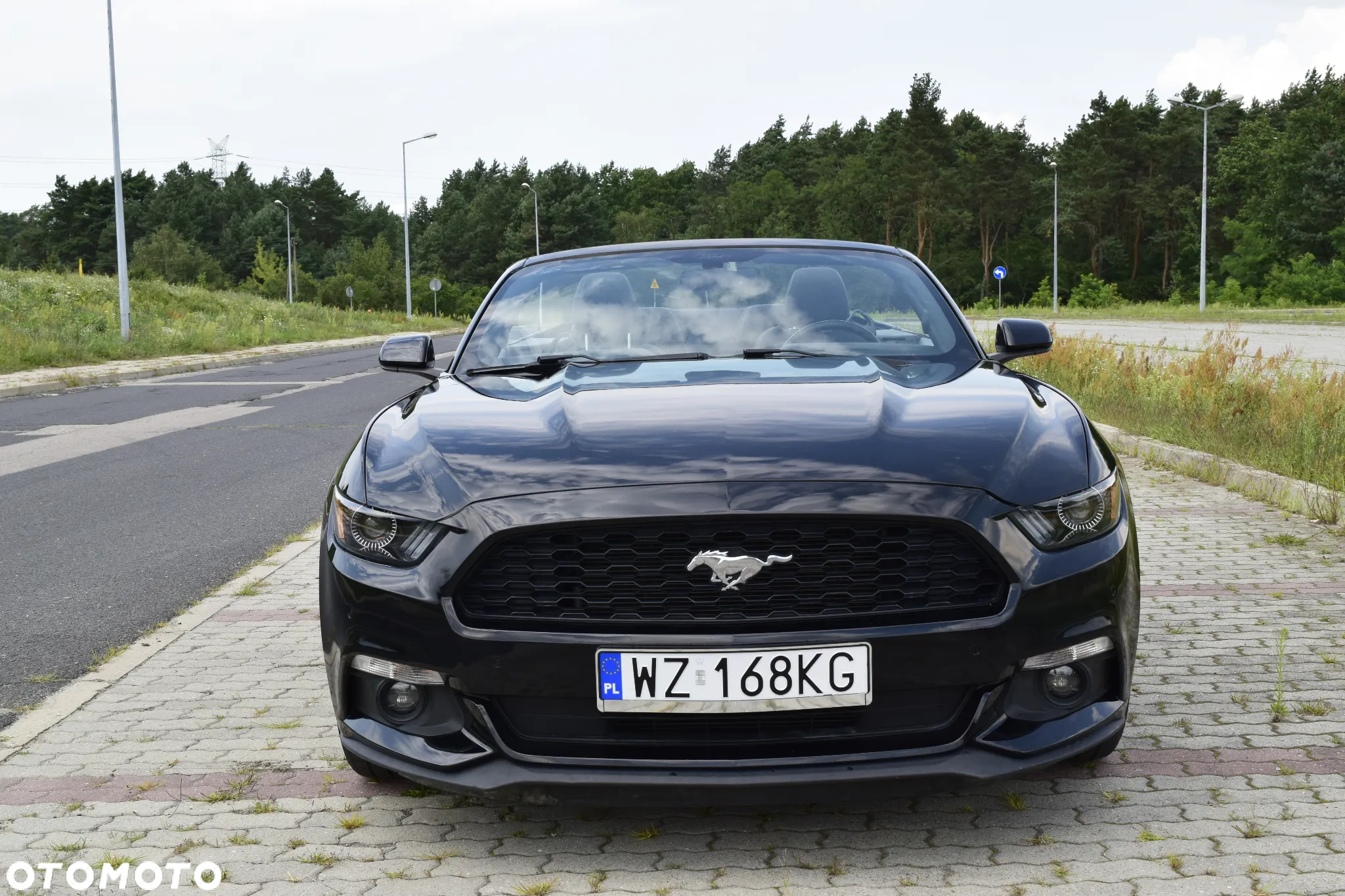 Ford Mustang 3.7 V6 - 2