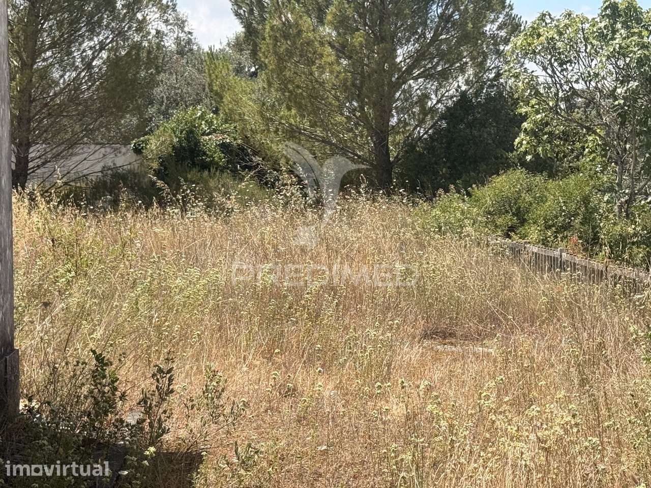 Antiga Escola Primária com Projeto Aprovado | Lote 1.188 m² | Pisci... - Grande imagem: 2/5