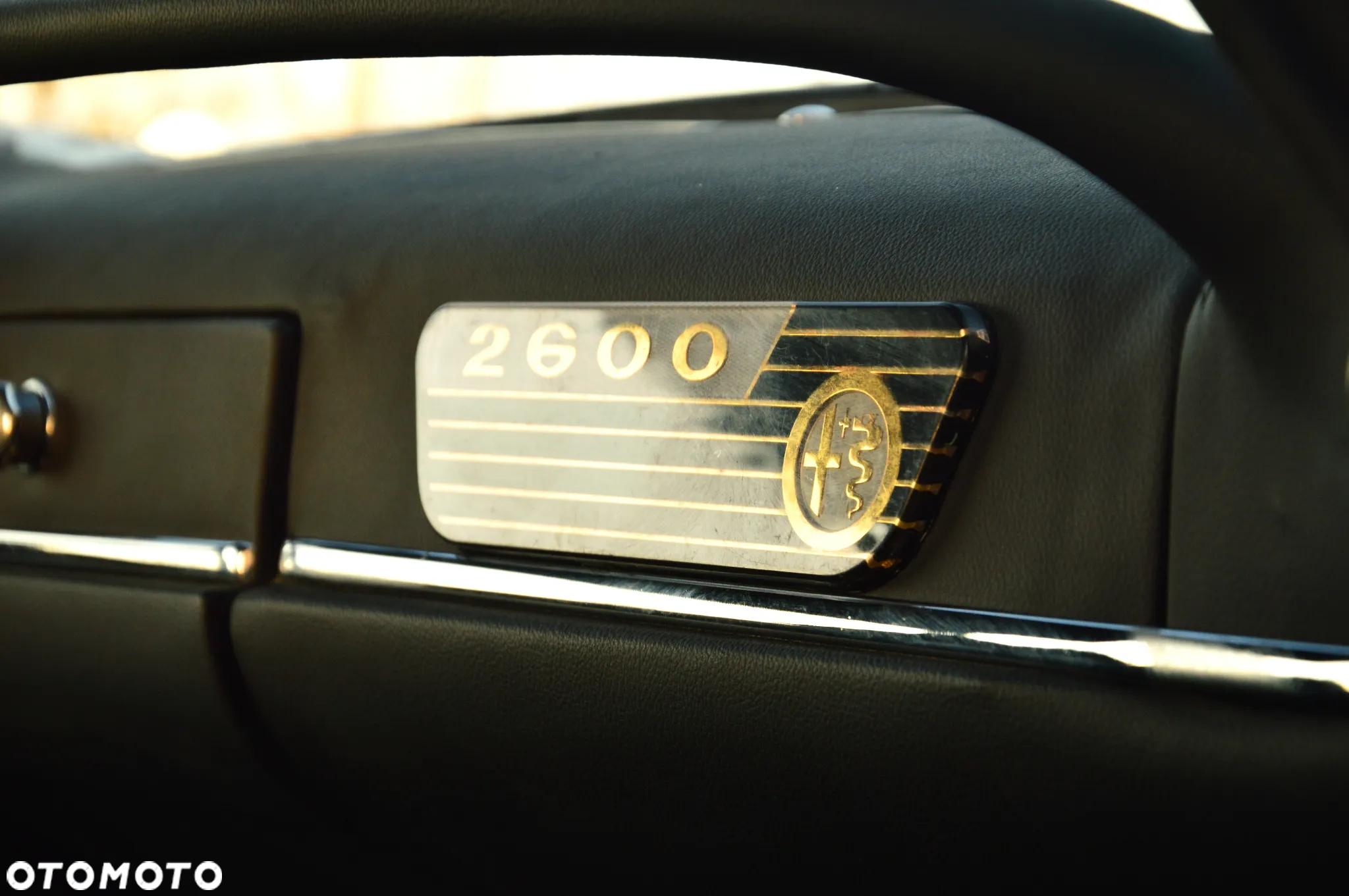 Alfa Romeo Inny - 24