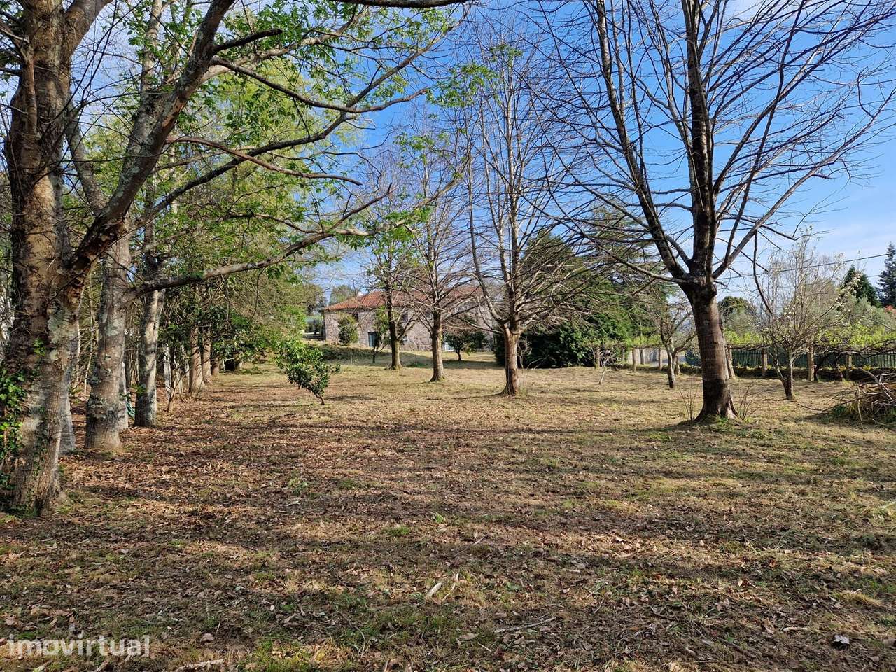 Terreno 1.500m² Vilar de Mouros | Construção Moradia | Caminha - Grande imagem: 2/17