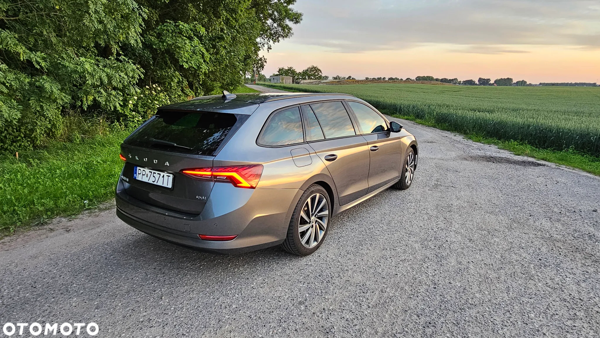 Skoda Octavia 2.0 TSI 4x4 Style DSG - 7