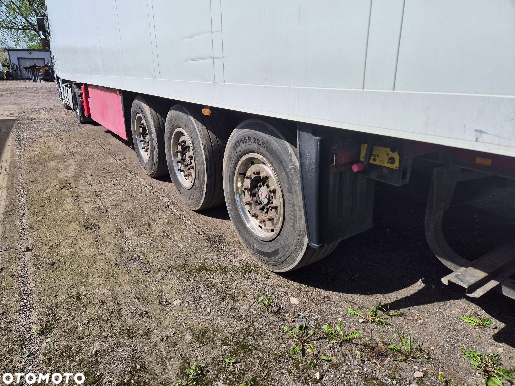 Schmitz Cargobull SKO 24 - 10