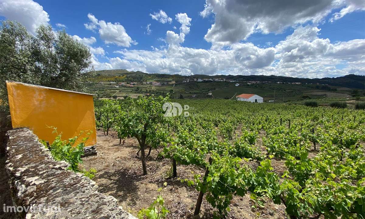 Terreno 14720m² - Barcos - Grande imagem: 3/13