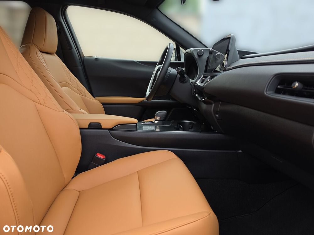 Lexus UX 300h F Sport Design - 19