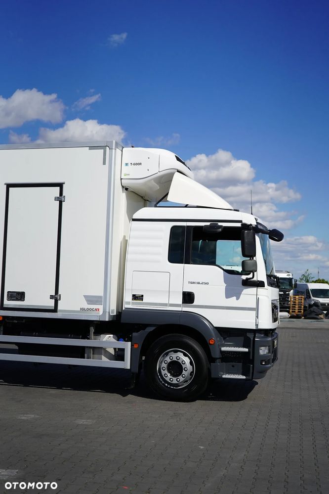 MAN / TGM / 18.250 / EURO 6 / CHŁODNIA + WINDA / ŁAD. 9 010 KG / 19 PALET - 29