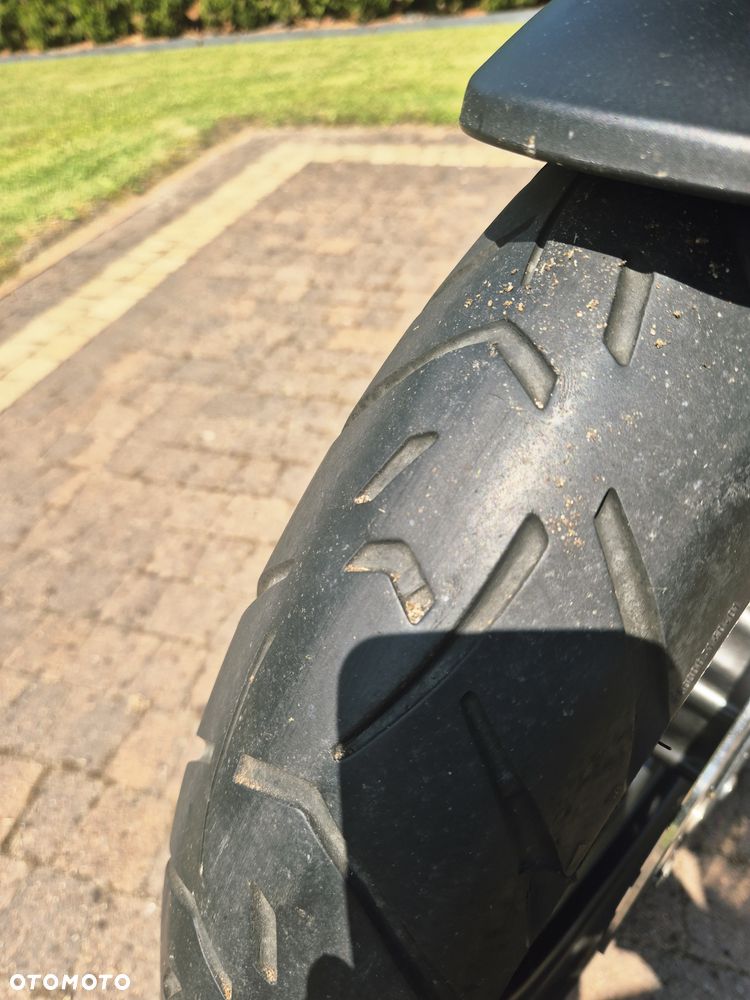 Triumph Tiger - 40