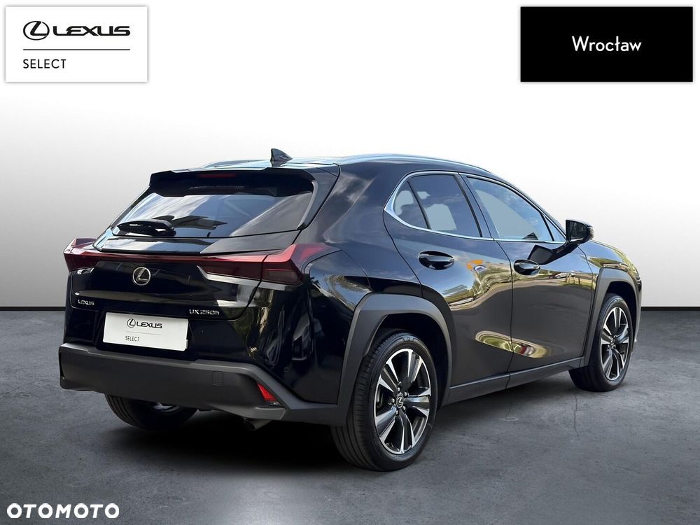 Lexus UX 250h GPF Business 2WD - 6