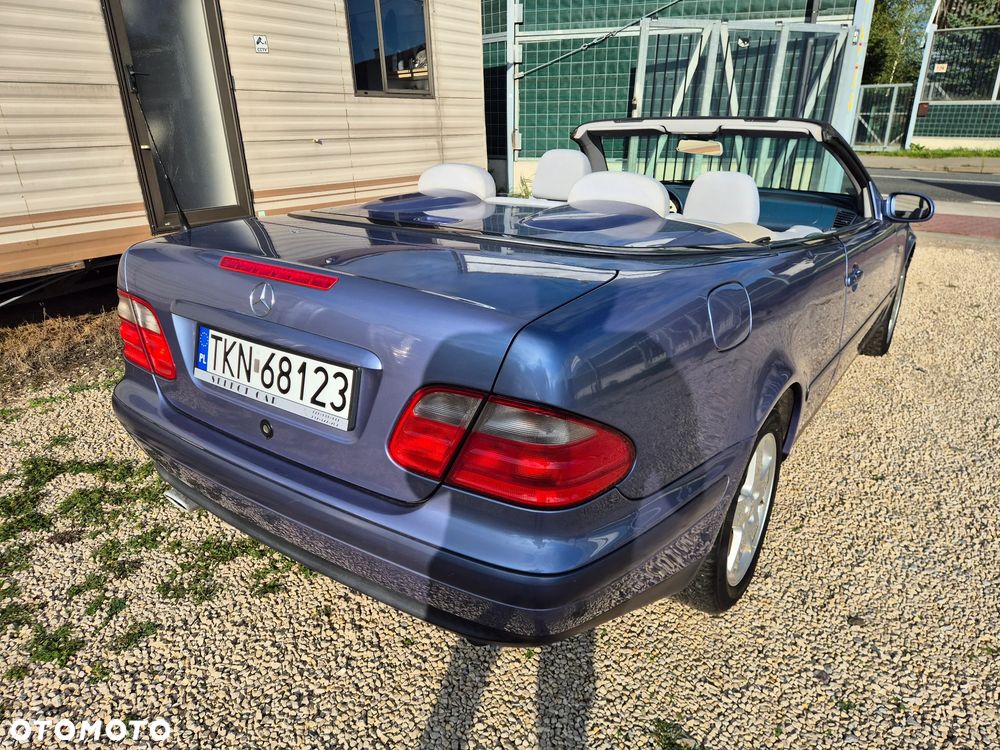 Mercedes-Benz CLK - 19