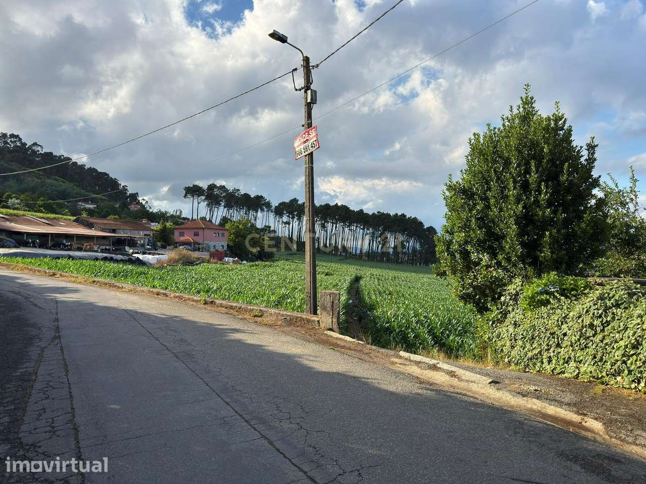 Terreno Rústico com 10.000 m² em Monte de Fralães – Barcelos - Grande imagem: 5/7