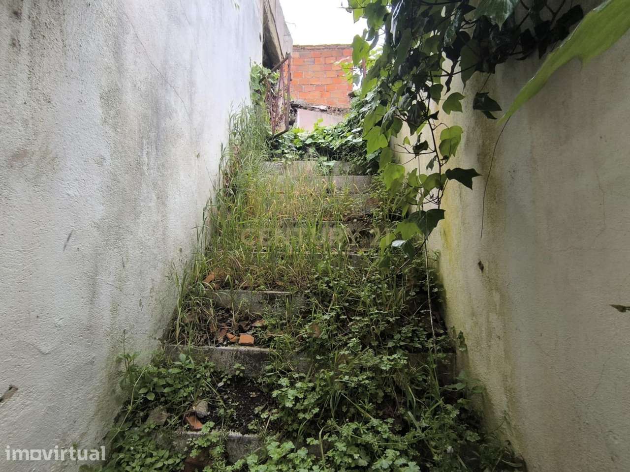 Casa antiga com pátio Garagem e aexos - Grande imagem: 5/23