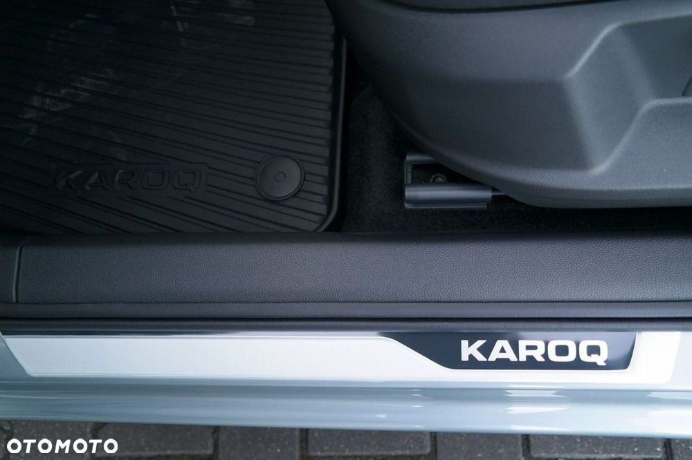 Skoda Karoq - 30