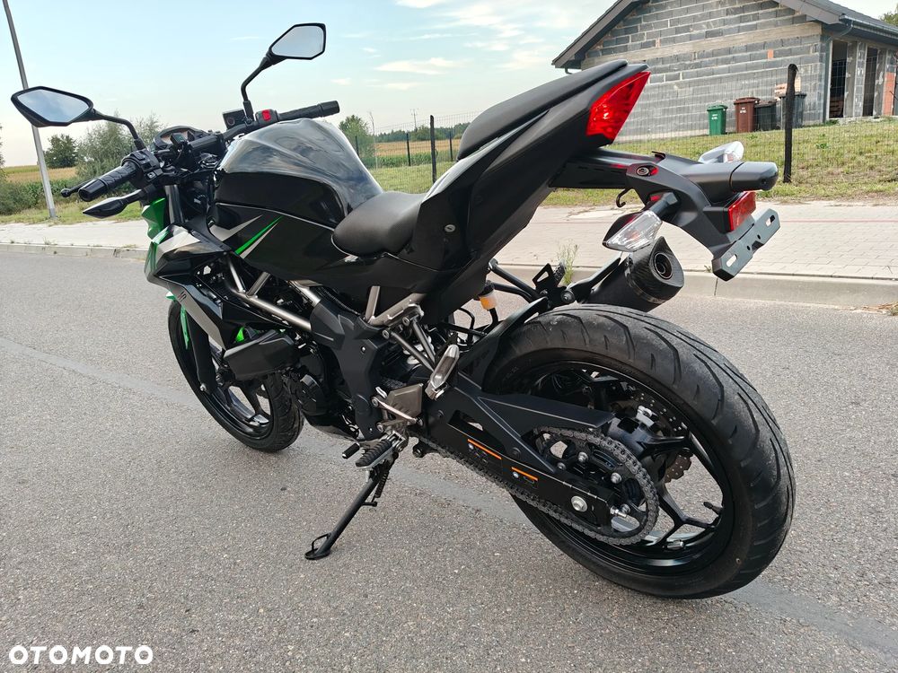 Kawasaki Z - 6