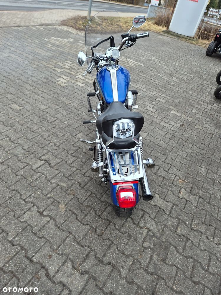 Harley-Davidson Sportster Custom 1200C - 6