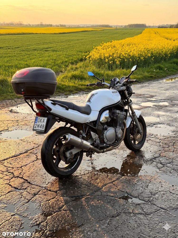Suzuki Bandit - 7