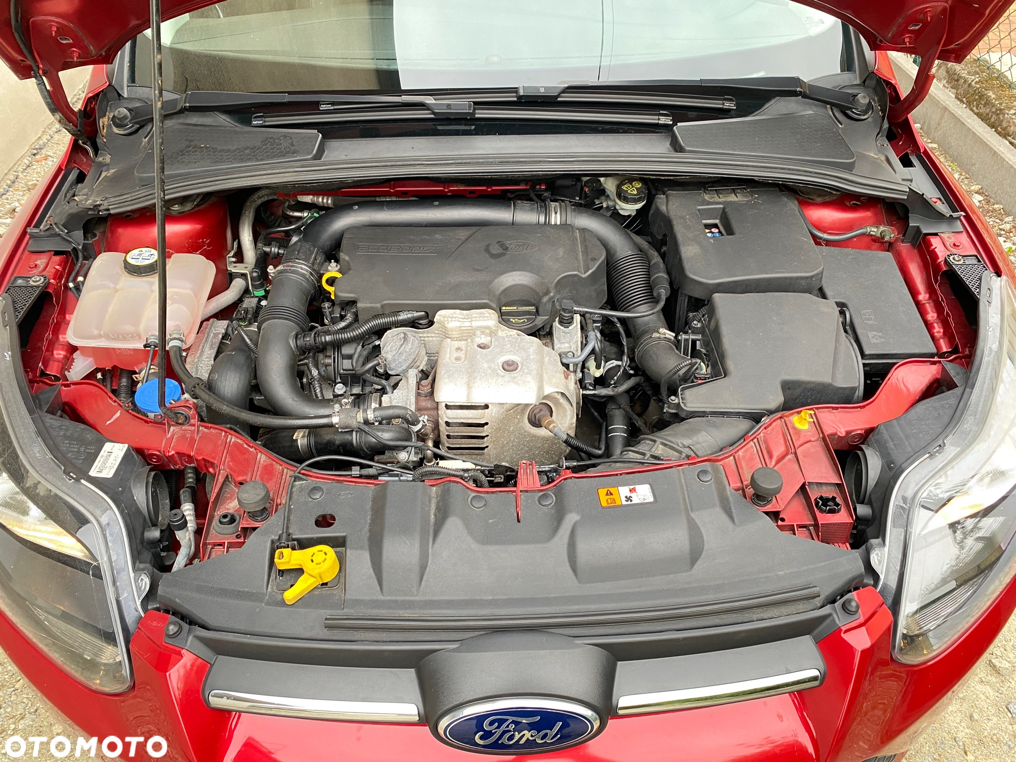 Ford Focus 1.0 EcoBoost Start-Stopp-System Champions Edition - 14