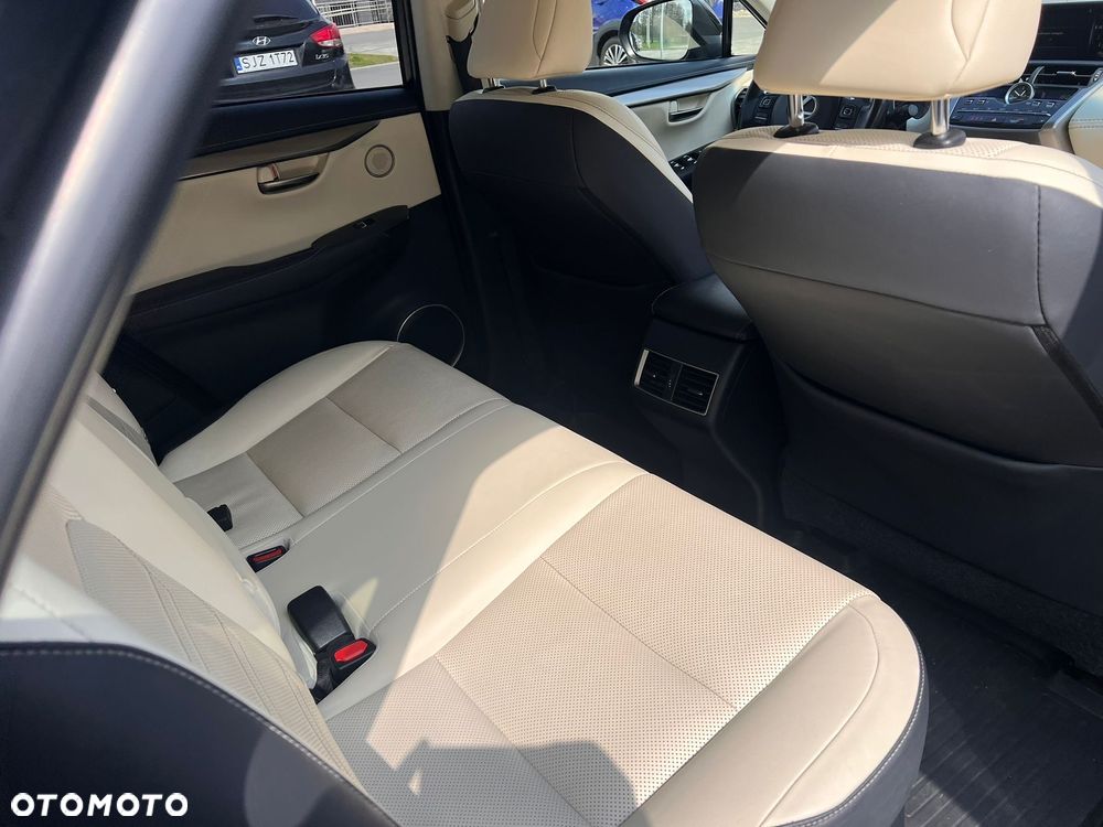 Lexus NX 300 Elegance Optimum AWD - 22