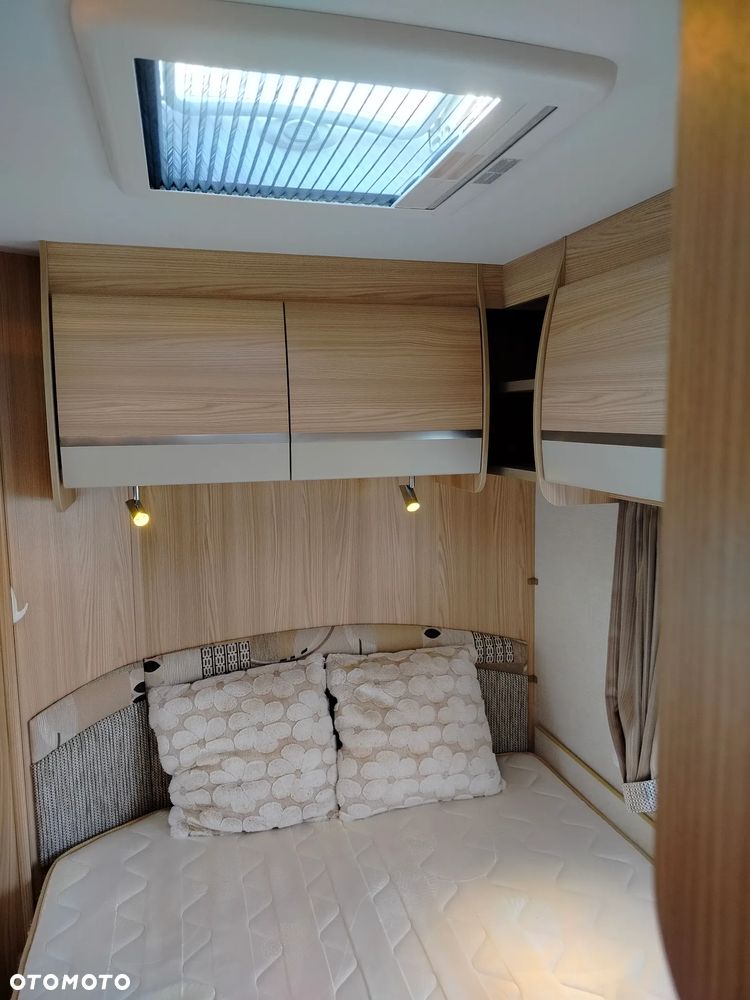 Coachman - 36