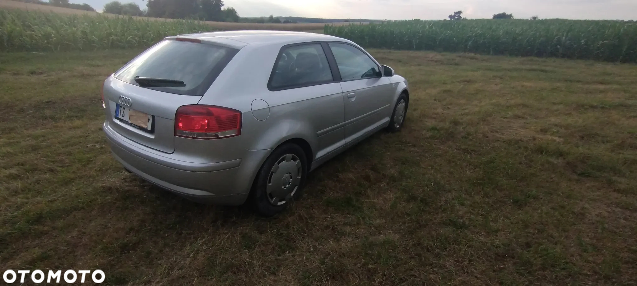 Audi A3 1.6 Ambiente - 5