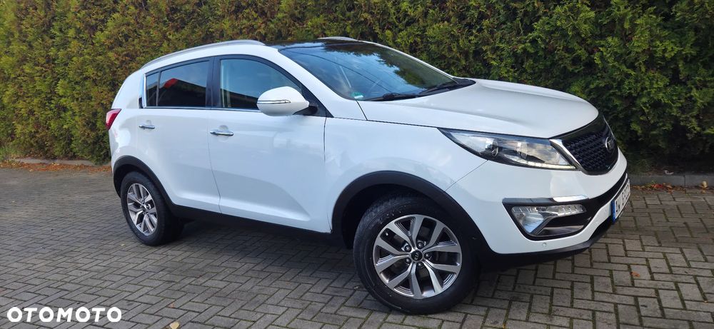 Kia Sportage 1.6 GDI Business Line M 2WD - 19