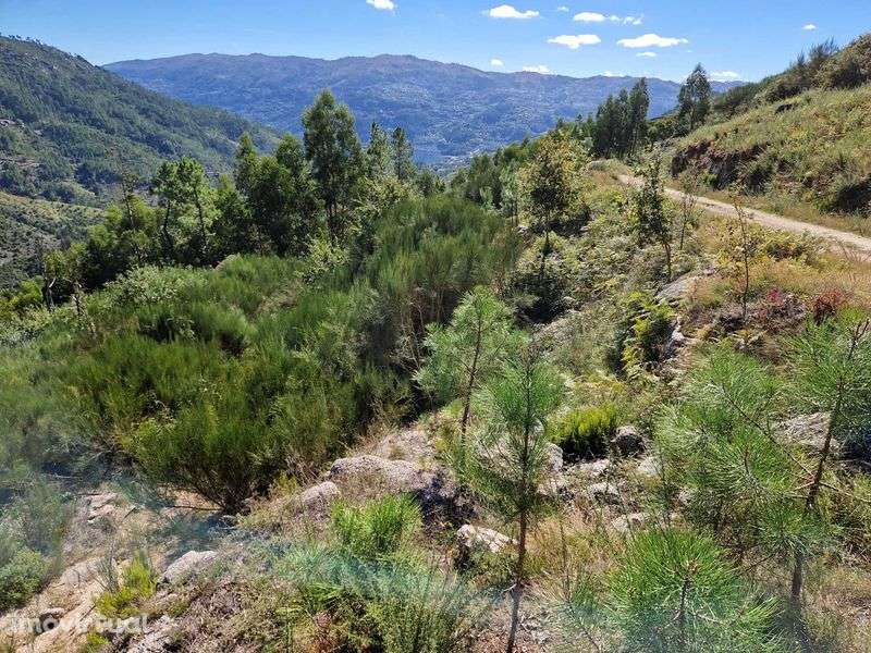 Terreno / coutada na Zona do Gerês / Rio Caldo - Grande imagem: 2/7