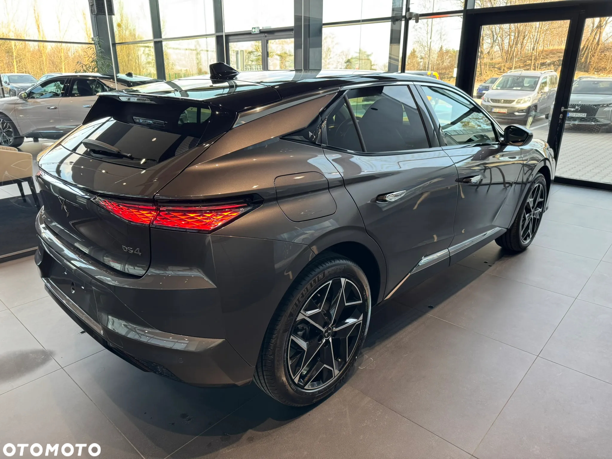 DS Automobiles DS 4 - 10