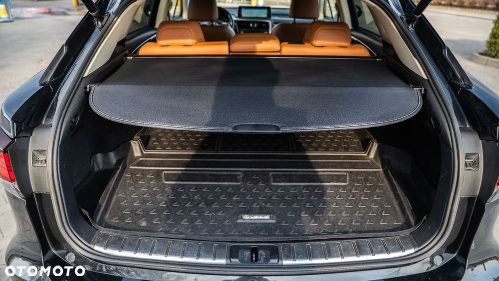 Lexus RX 300 Business Edition + - 29