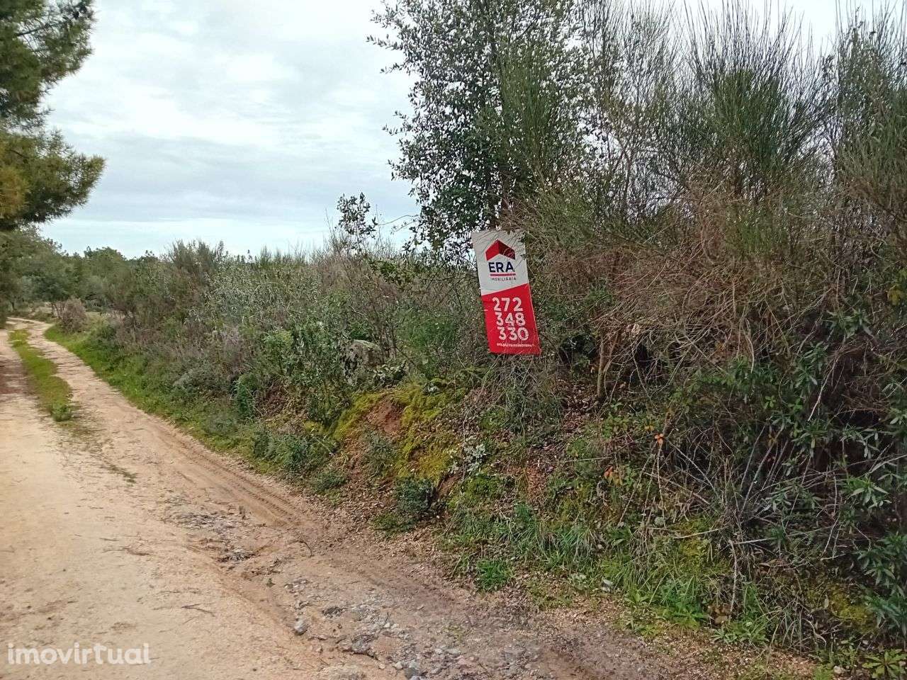 Terreno - Grande imagem: 2/9