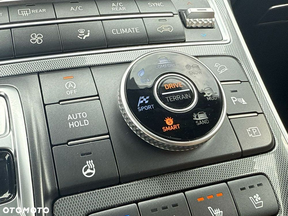Hyundai Santa Fe - 33