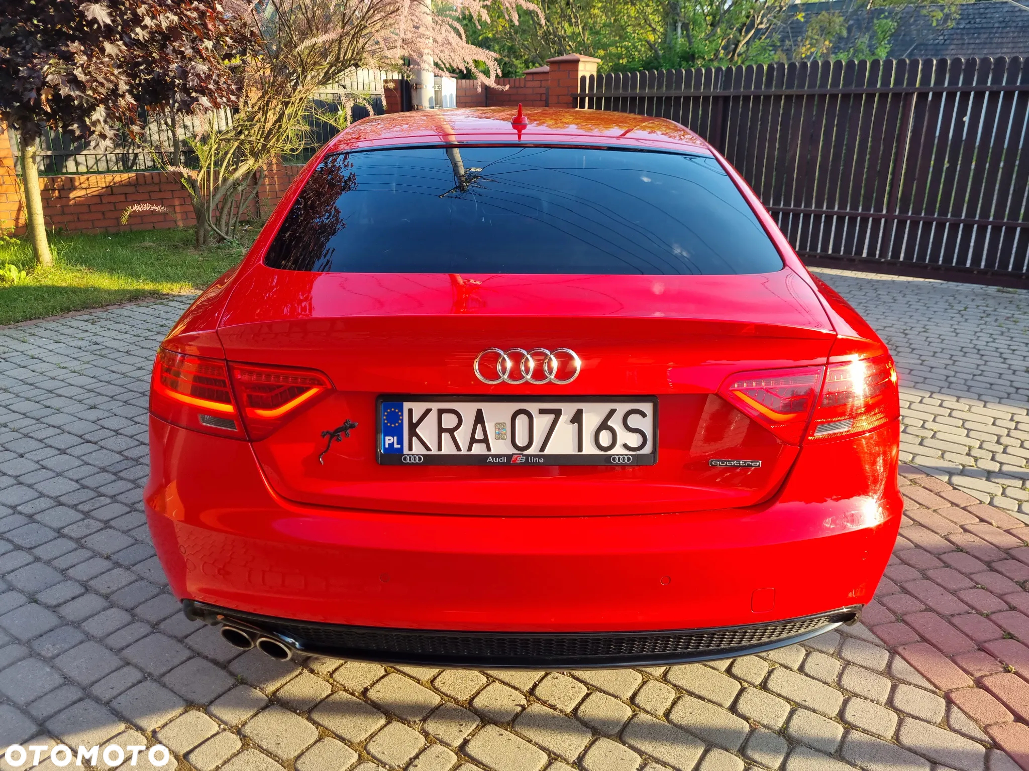 Audi A5 2.0 TDI Sportback (clean diesel) quattro DPF - 5