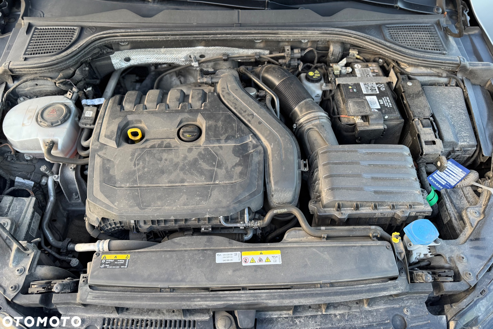 Volkswagen Golf VIII 1.5 TSI EVO Life - 34