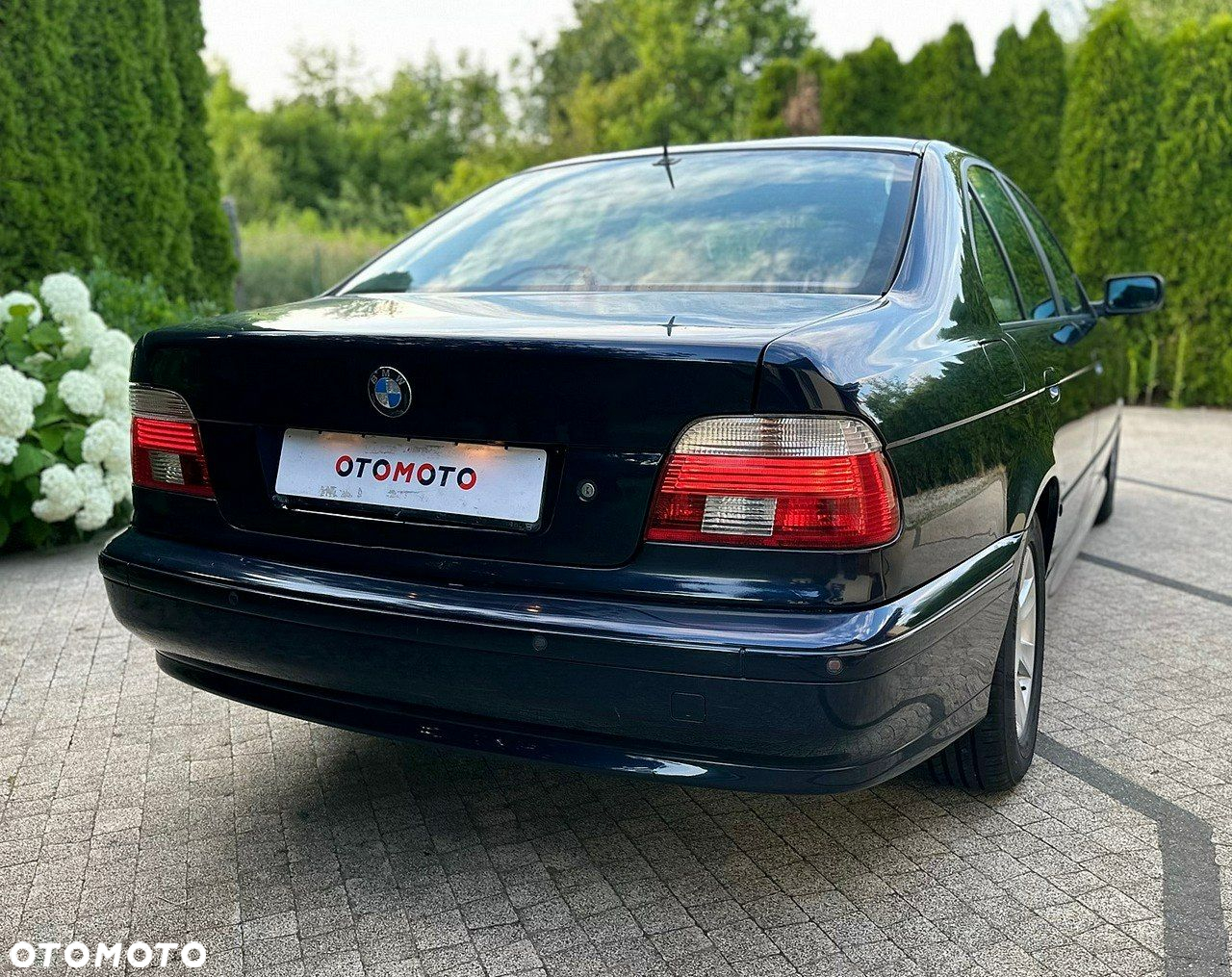 BMW Seria 5 - 18