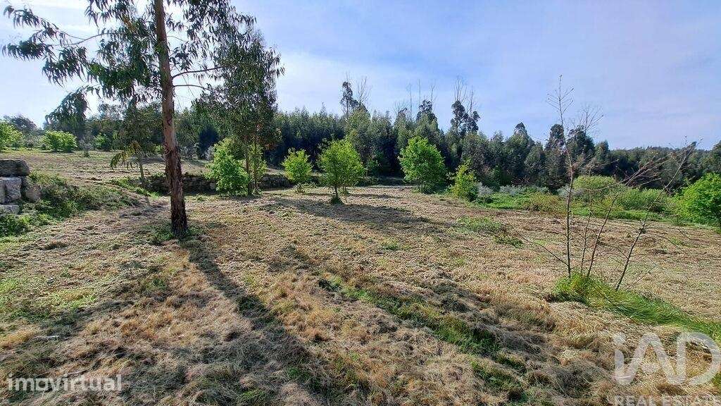 Quinta rural em Lagos da Beira e Lajeosa de 70 m2 - Grande imagem: 4/19
