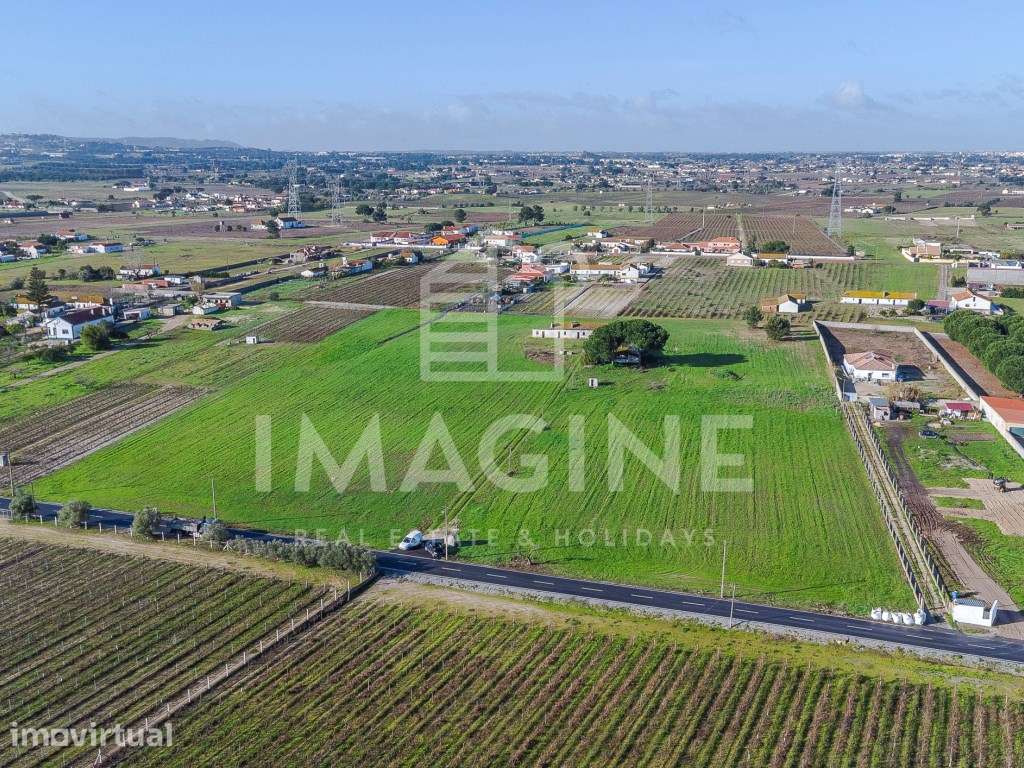 Terreno com 26.000 m² em Palmela - Localização Privilegiada e Eleva... - Grande imagem: 4/12