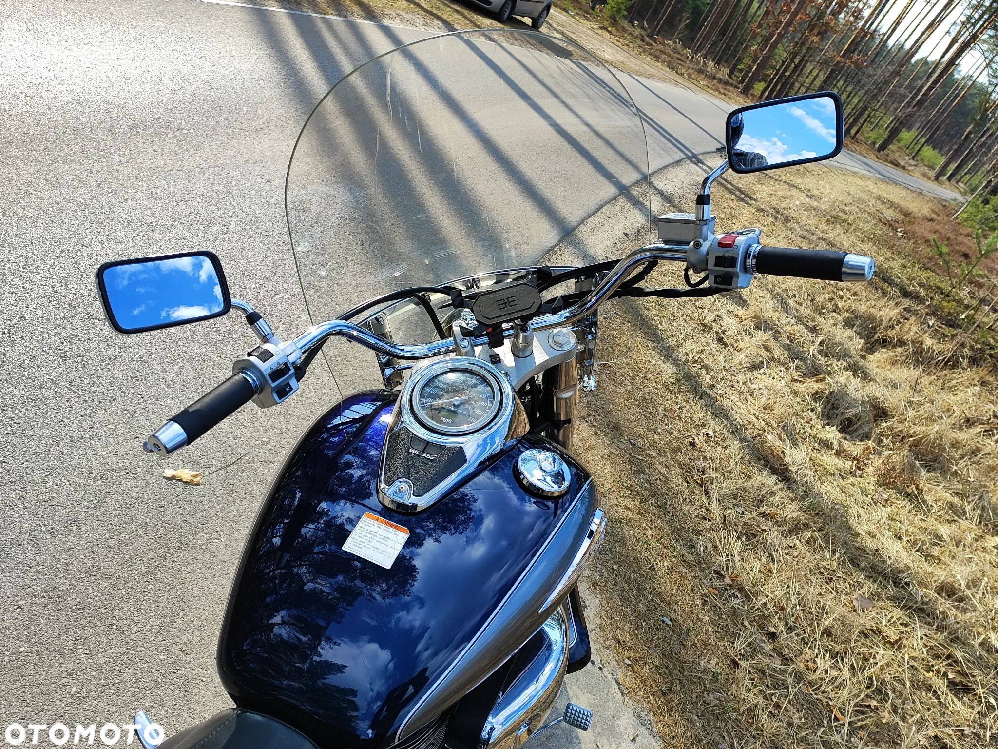 Suzuki VL 800 Volusia - 9