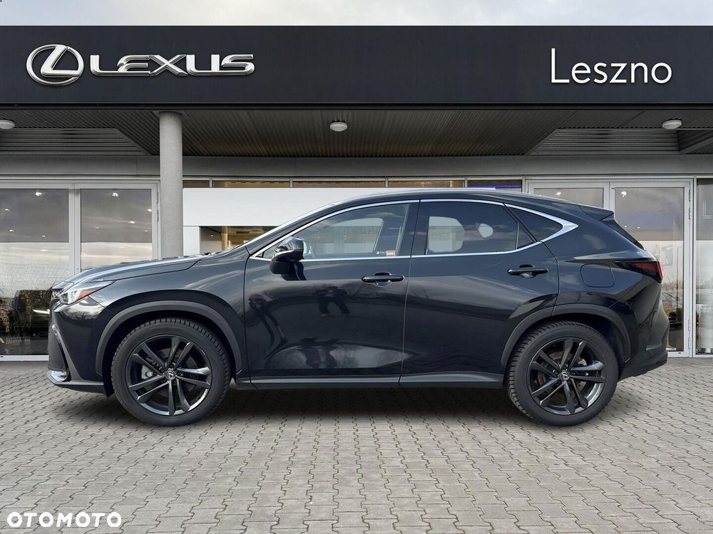 Lexus NX - 8