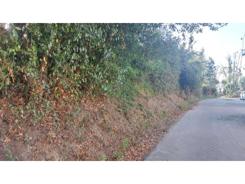 Terreno com 3 frentes de estrada em Monte Real - Grande imagem: 5/29