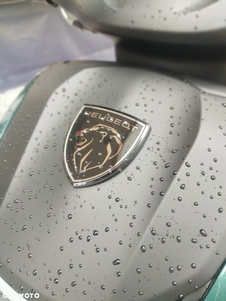 Peugeot Speedfight - 18