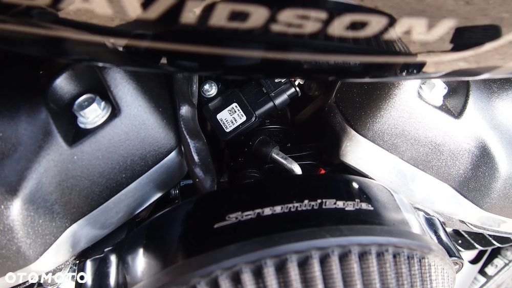 Harley-Davidson Softail Standard - 20