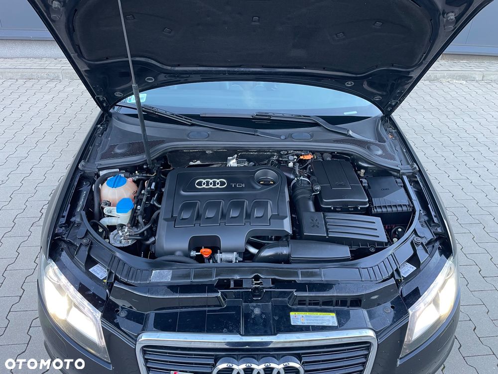 Audi A3 3-drzwiowe - 8