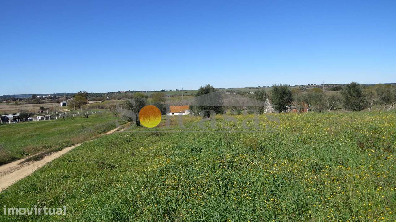 Quinta com duas habitações em Sta. Catarina - Alcácer do Sal - Grande imagem: 2/10