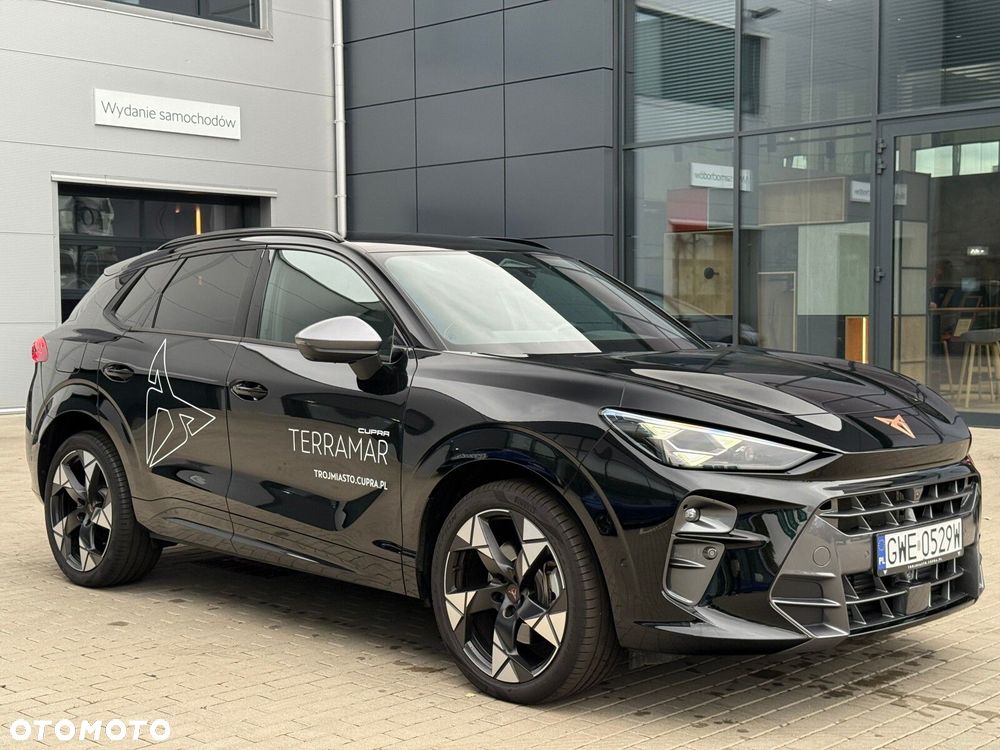 Cupra Terramar - 7