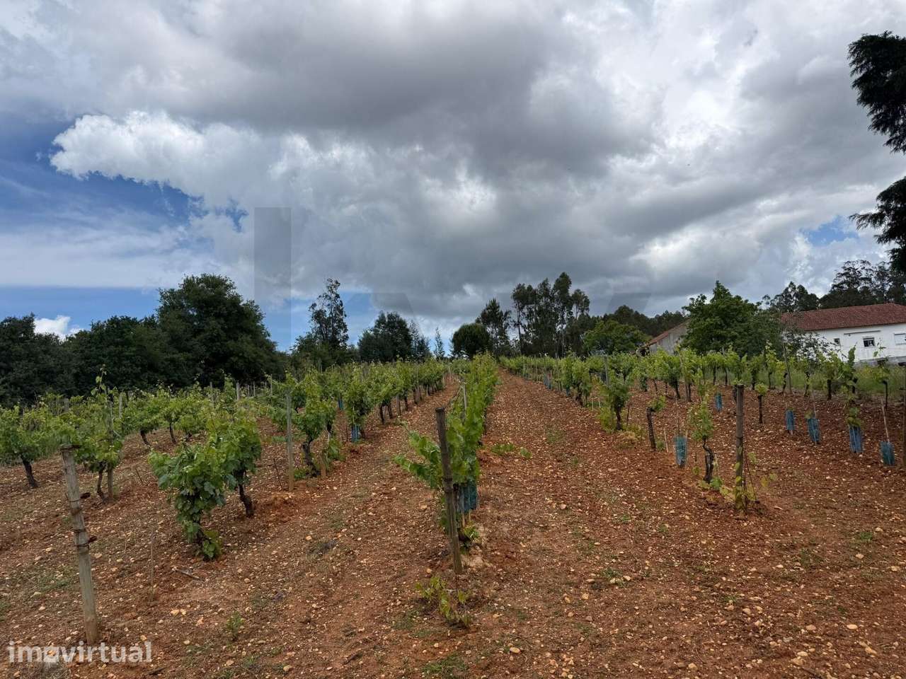 Terreno para construção com projeto aprovado em Vil de Matos - Grande imagem: 4/9