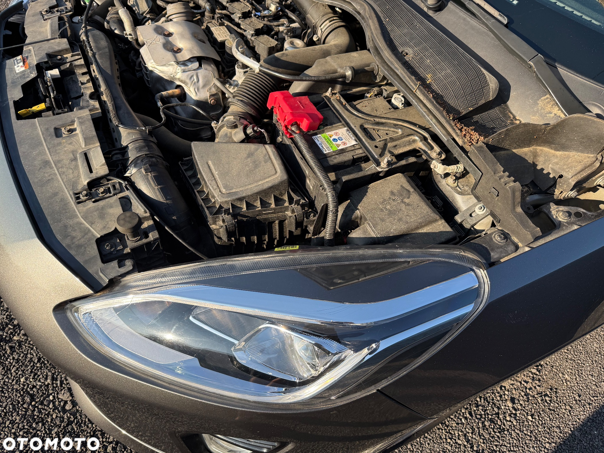 Ford Fiesta - 25