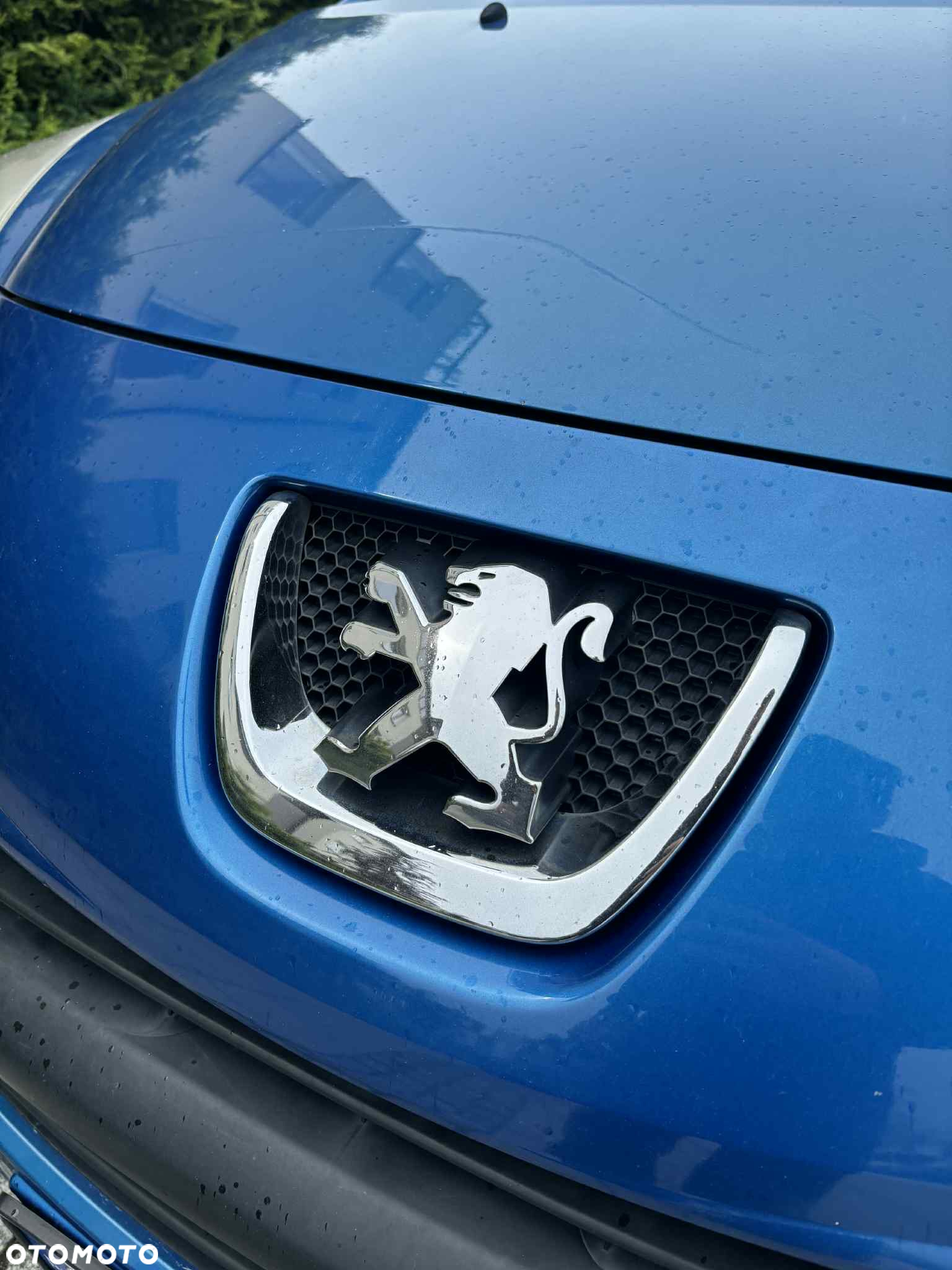 Peugeot 207 - 4