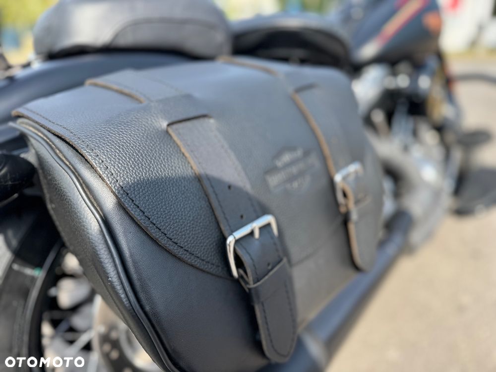 Harley-Davidson Softail Cross Bones - 15