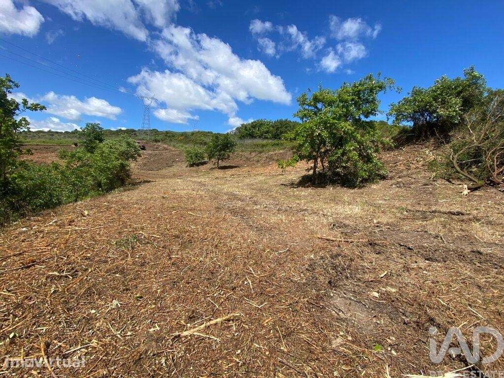 Terreno em Arranhó - Grande imagem: 3/8