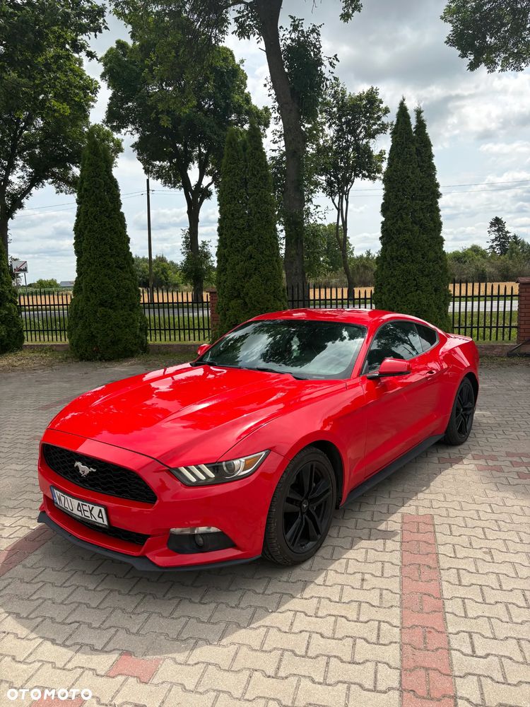 Ford Mustang - 1