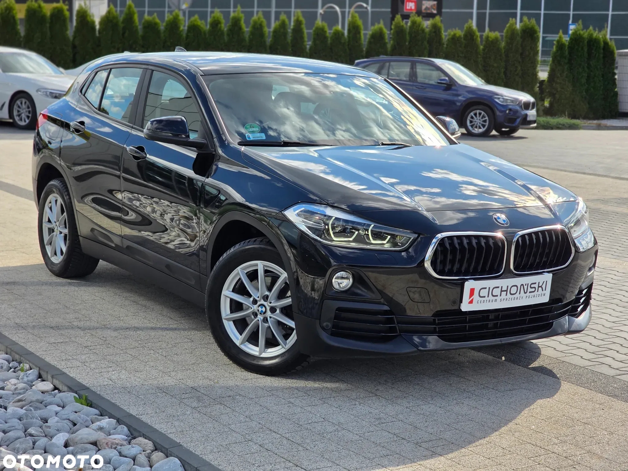 BMW X2 sDrive18i GPF Business Edition - 19